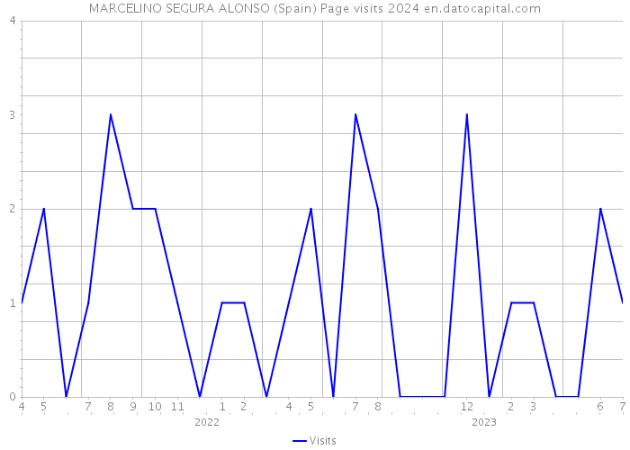 MARCELINO SEGURA ALONSO (Spain) Page visits 2024 