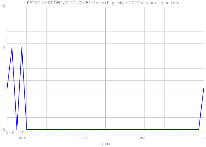 PEDRO CASTIÑEIRAS GONZALEZ (Spain) Page visits 2024 