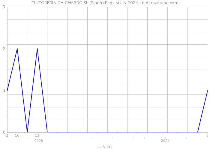 TINTORERIA CHICHARRO SL (Spain) Page visits 2024 