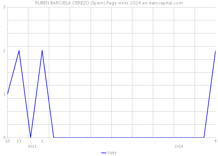RUBEN BARCIELA CEREZO (Spain) Page visits 2024 