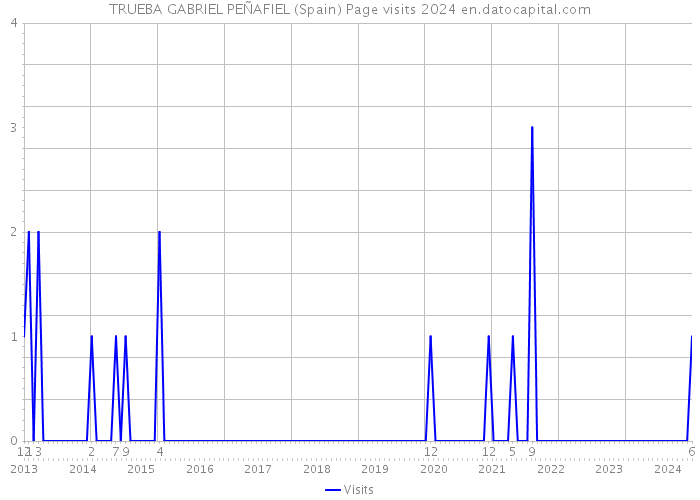 TRUEBA GABRIEL PEÑAFIEL (Spain) Page visits 2024 