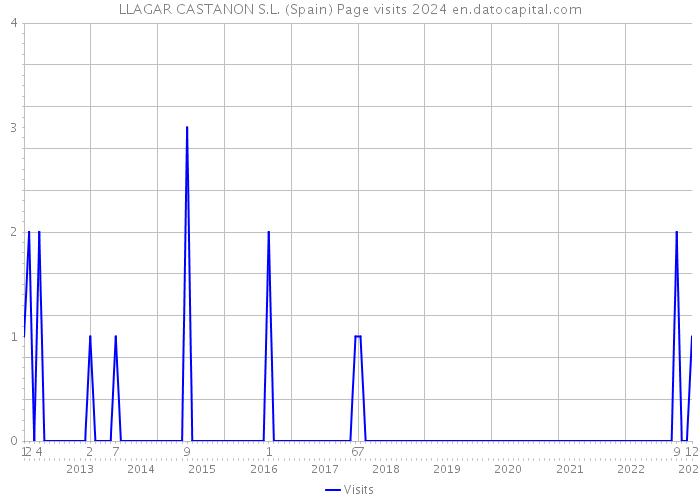 LLAGAR CASTANON S.L. (Spain) Page visits 2024 