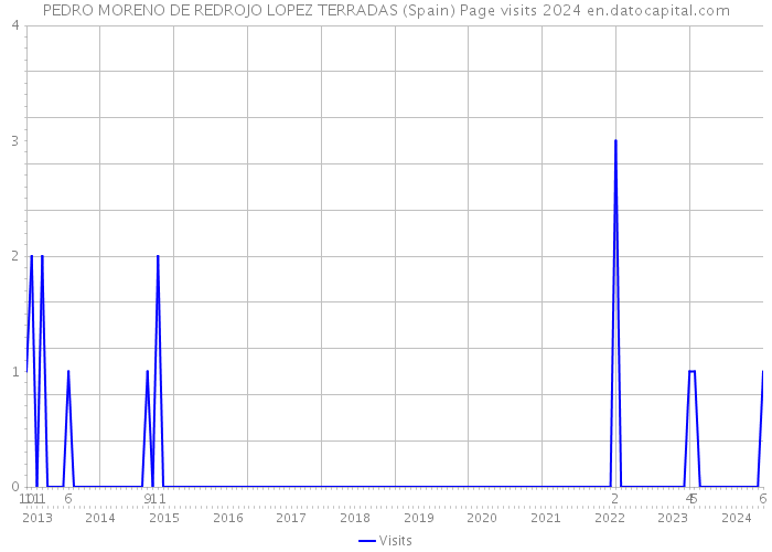 PEDRO MORENO DE REDROJO LOPEZ TERRADAS (Spain) Page visits 2024 