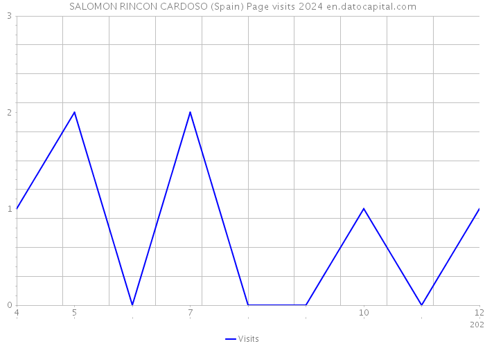 SALOMON RINCON CARDOSO (Spain) Page visits 2024 