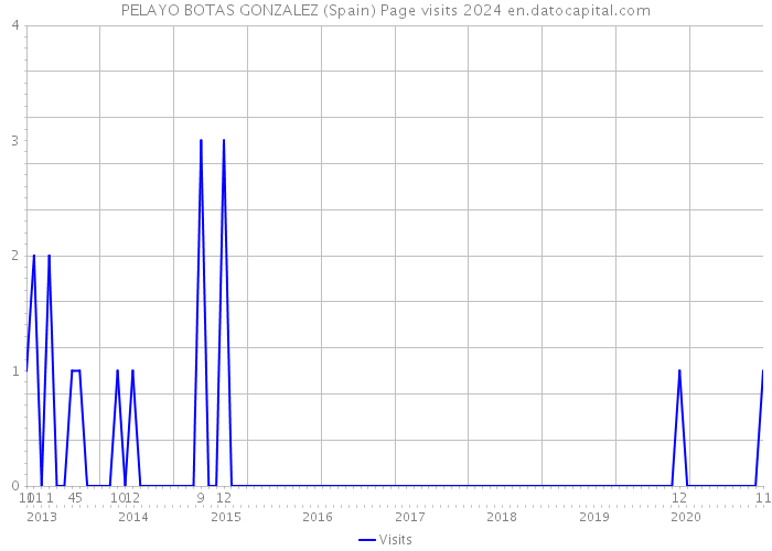 PELAYO BOTAS GONZALEZ (Spain) Page visits 2024 