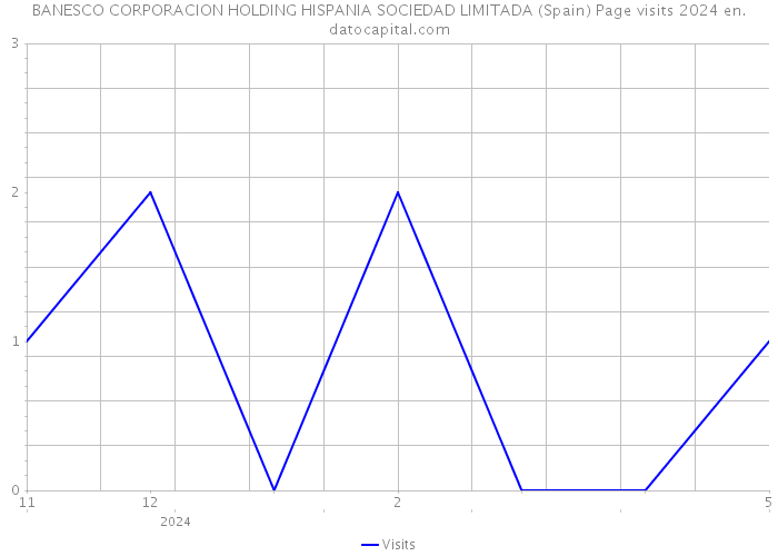 BANESCO CORPORACION HOLDING HISPANIA SOCIEDAD LIMITADA (Spain) Page visits 2024 