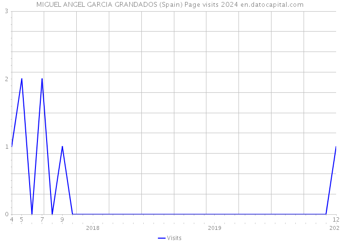MIGUEL ANGEL GARCIA GRANDADOS (Spain) Page visits 2024 