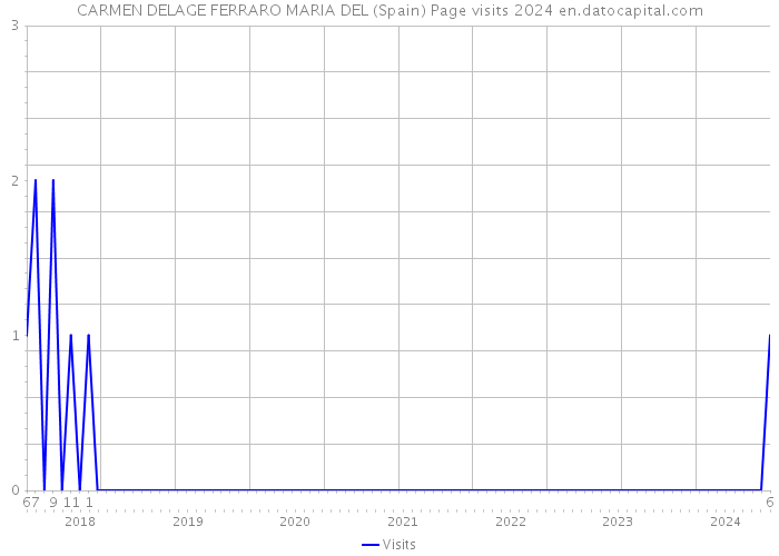 CARMEN DELAGE FERRARO MARIA DEL (Spain) Page visits 2024 