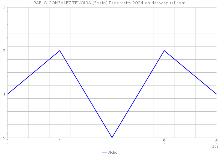 PABLO GONZALEZ TENOIRA (Spain) Page visits 2024 