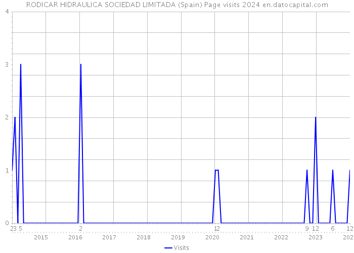 RODICAR HIDRAULICA SOCIEDAD LIMITADA (Spain) Page visits 2024 