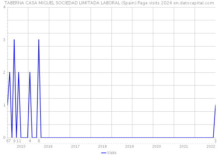 TABERNA CASA MIGUEL SOCIEDAD LIMITADA LABORAL (Spain) Page visits 2024 