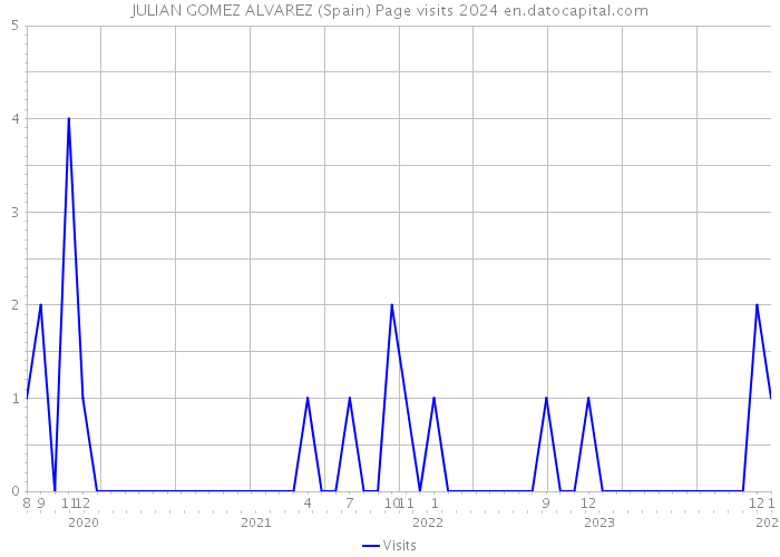 JULIAN GOMEZ ALVAREZ (Spain) Page visits 2024 