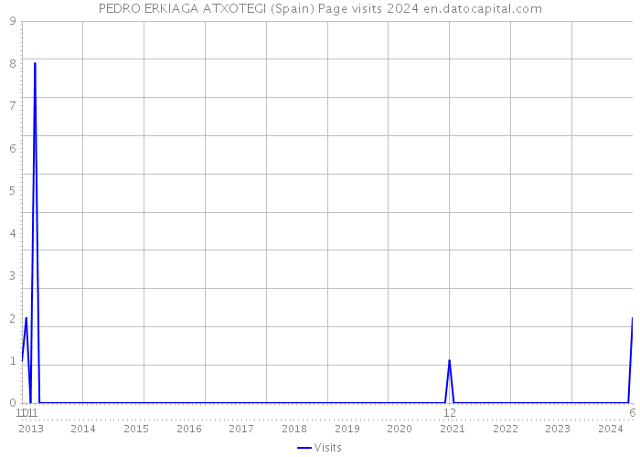 PEDRO ERKIAGA ATXOTEGI (Spain) Page visits 2024 