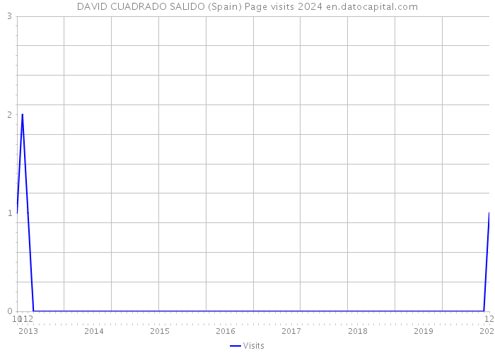 DAVID CUADRADO SALIDO (Spain) Page visits 2024 