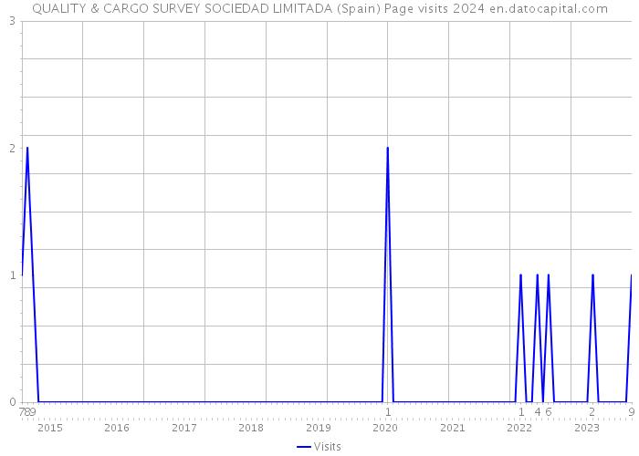 QUALITY & CARGO SURVEY SOCIEDAD LIMITADA (Spain) Page visits 2024 