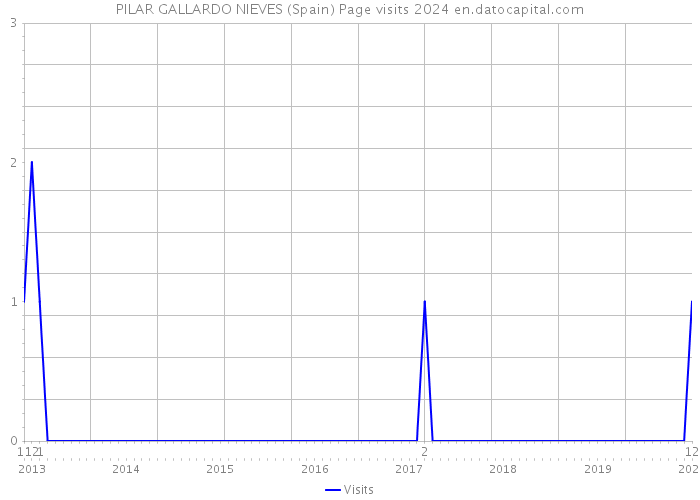 PILAR GALLARDO NIEVES (Spain) Page visits 2024 
