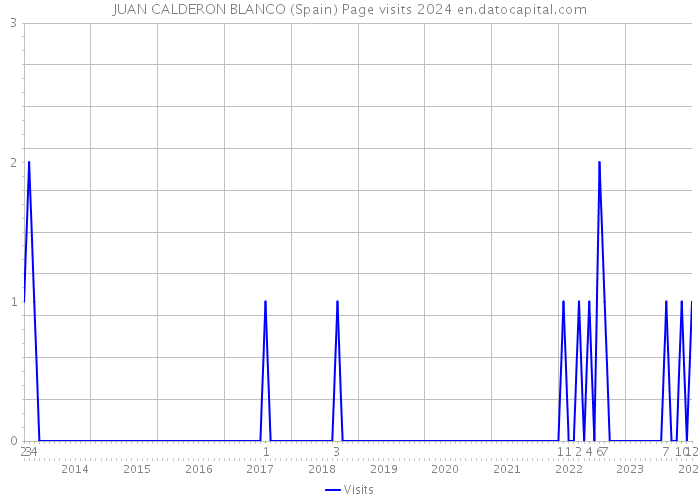 JUAN CALDERON BLANCO (Spain) Page visits 2024 
