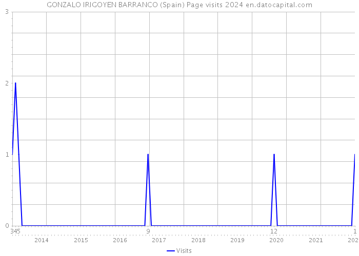 GONZALO IRIGOYEN BARRANCO (Spain) Page visits 2024 