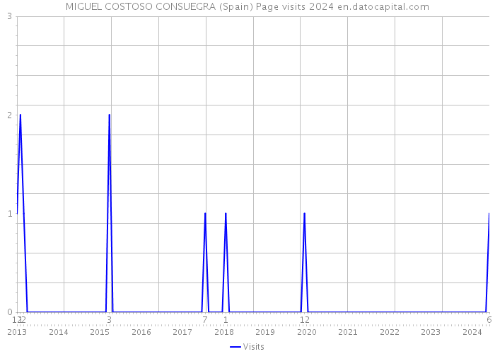 MIGUEL COSTOSO CONSUEGRA (Spain) Page visits 2024 
