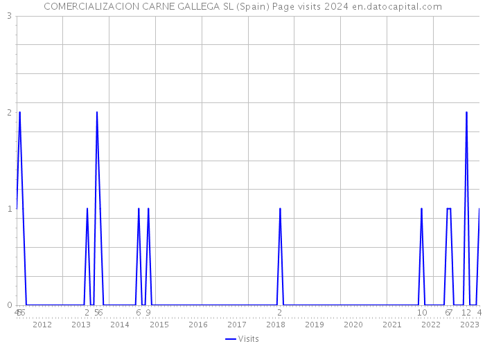 COMERCIALIZACION CARNE GALLEGA SL (Spain) Page visits 2024 