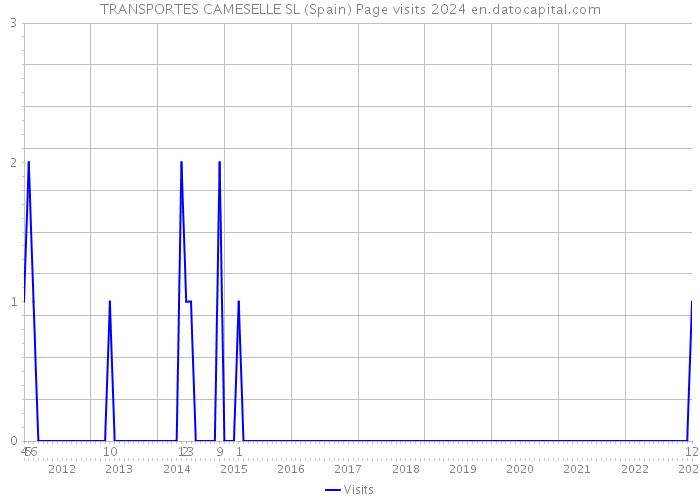 TRANSPORTES CAMESELLE SL (Spain) Page visits 2024 