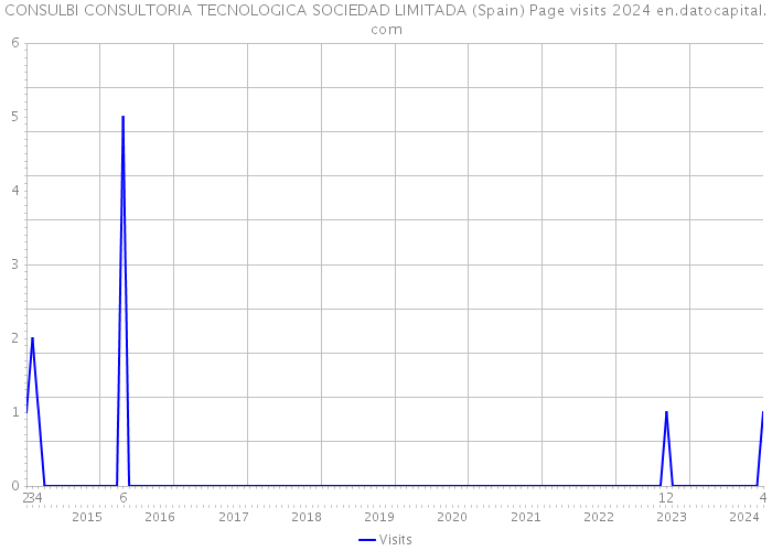 CONSULBI CONSULTORIA TECNOLOGICA SOCIEDAD LIMITADA (Spain) Page visits 2024 