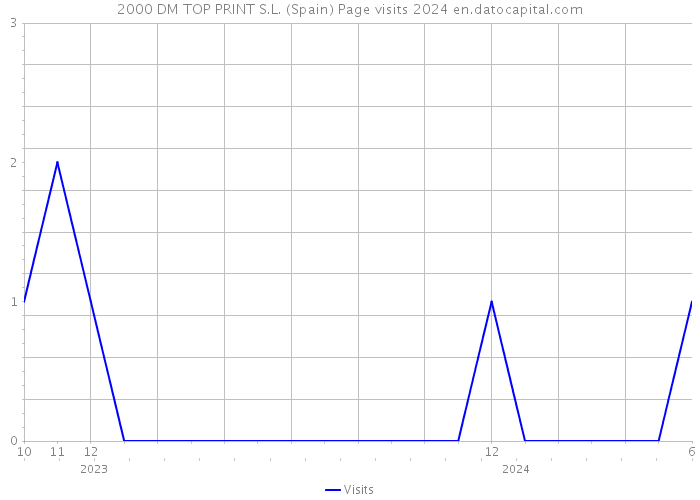 2000 DM TOP PRINT S.L. (Spain) Page visits 2024 