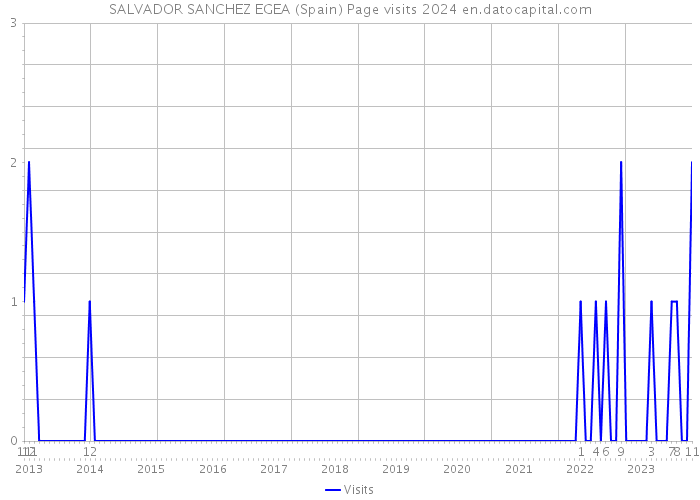 SALVADOR SANCHEZ EGEA (Spain) Page visits 2024 