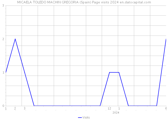 MICAELA TOLEDO MACHIN GREGORIA (Spain) Page visits 2024 