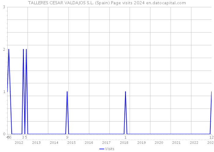 TALLERES CESAR VALDAJOS S.L. (Spain) Page visits 2024 
