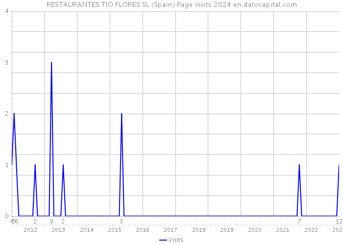 RESTAURANTES TIO FLORES SL (Spain) Page visits 2024 