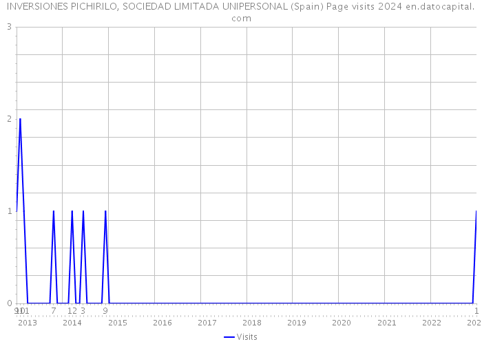 INVERSIONES PICHIRILO, SOCIEDAD LIMITADA UNIPERSONAL (Spain) Page visits 2024 