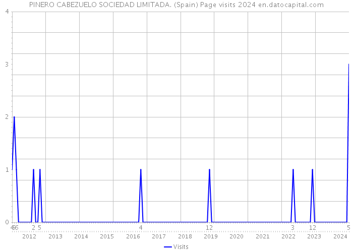 PINERO CABEZUELO SOCIEDAD LIMITADA. (Spain) Page visits 2024 