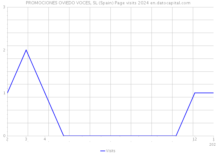 PROMOCIONES OVIEDO VOCES, SL (Spain) Page visits 2024 