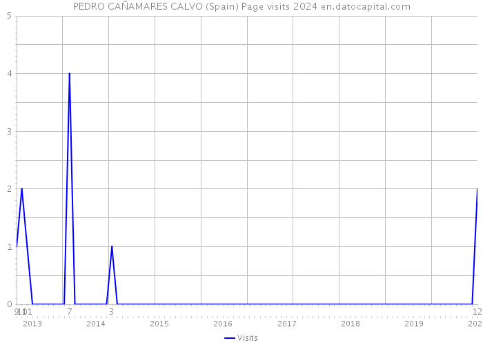 PEDRO CAÑAMARES CALVO (Spain) Page visits 2024 