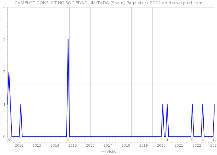 CAMELOT CONSULTING SOCIEDAD LIMITADA (Spain) Page visits 2024 