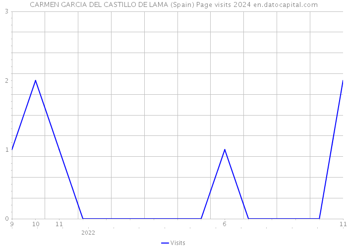 CARMEN GARCIA DEL CASTILLO DE LAMA (Spain) Page visits 2024 