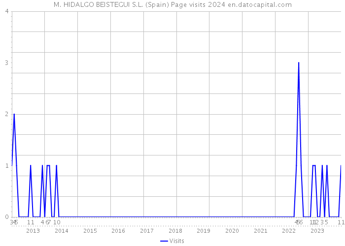 M. HIDALGO BEISTEGUI S.L. (Spain) Page visits 2024 