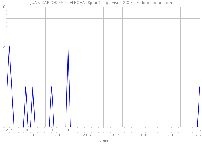 JUAN CARLOS SANZ FLECHA (Spain) Page visits 2024 