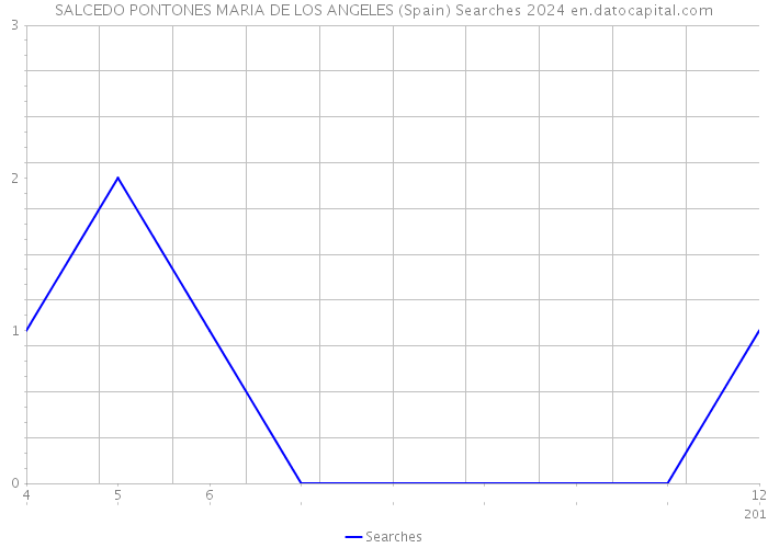 SALCEDO PONTONES MARIA DE LOS ANGELES (Spain) Searches 2024 