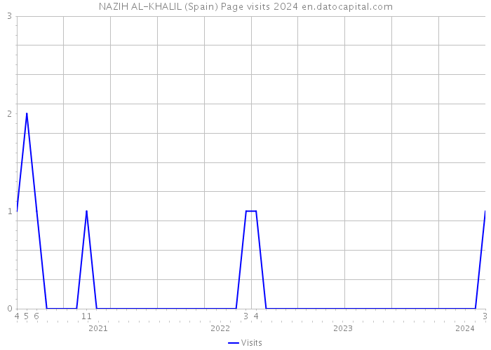 NAZIH AL-KHALIL (Spain) Page visits 2024 