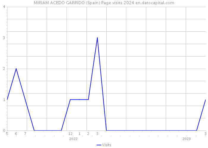 MIRIAM ACEDO GARRIDO (Spain) Page visits 2024 