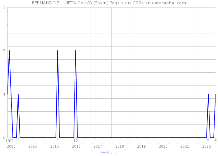 FERNANDO ZULUETA CALVO (Spain) Page visits 2024 