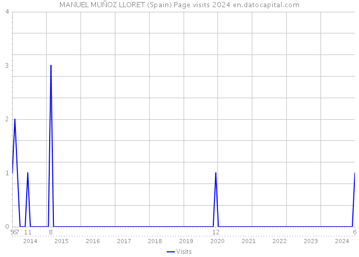 MANUEL MUÑOZ LLORET (Spain) Page visits 2024 