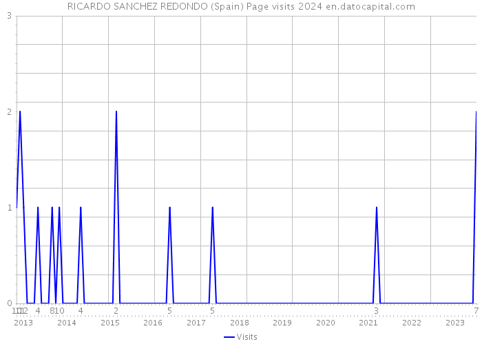 RICARDO SANCHEZ REDONDO (Spain) Page visits 2024 