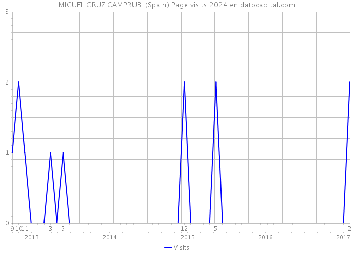 MIGUEL CRUZ CAMPRUBI (Spain) Page visits 2024 