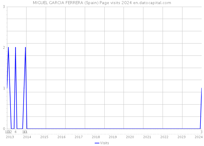 MIGUEL GARCIA FERRERA (Spain) Page visits 2024 