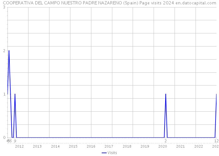 COOPERATIVA DEL CAMPO NUESTRO PADRE NAZARENO (Spain) Page visits 2024 