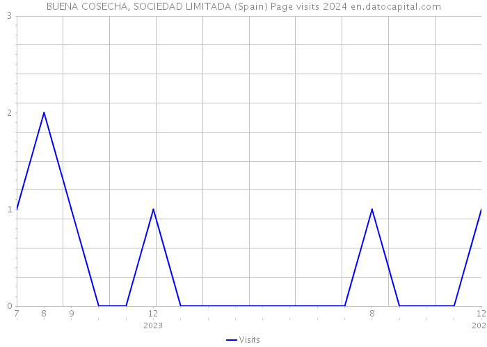 BUENA COSECHA, SOCIEDAD LIMITADA (Spain) Page visits 2024 