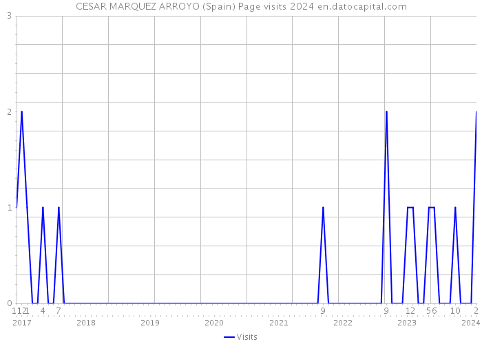 CESAR MARQUEZ ARROYO (Spain) Page visits 2024 